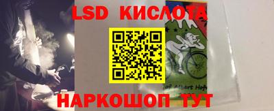 прущие крисы Новозыбков