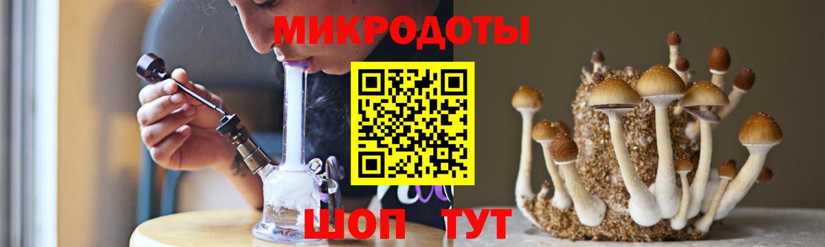 Пугачёв  Псилоцибиновые грибы Magic Shrooms  Вход с VPN  Псилоцибиновые грибы ЛСД 